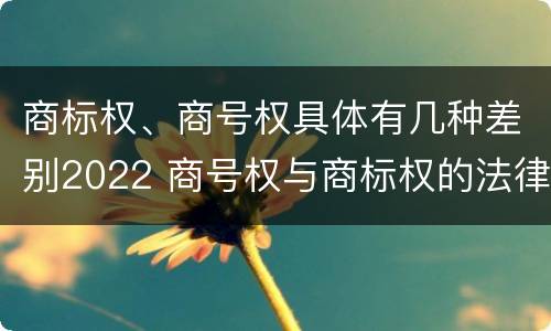 商标权、商号权具体有几种差别2022 商号权与商标权的法律冲突与解决