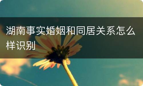 湖南事实婚姻和同居关系怎么样识别