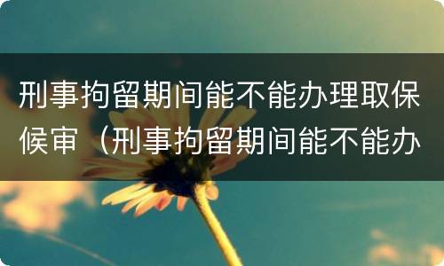 刑事拘留期间能不能办理取保候审（刑事拘留期间能不能办理取保候审手续）
