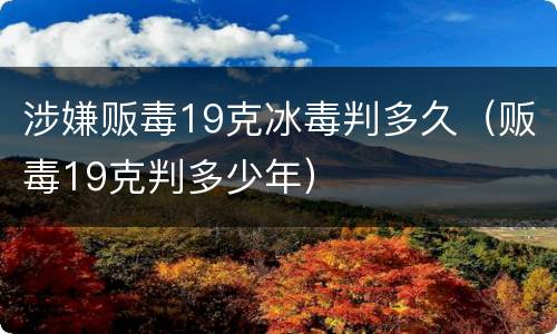 涉嫌贩毒19克冰毒判多久（贩毒19克判多少年）