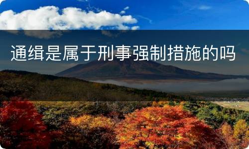 通缉是属于刑事强制措施的吗