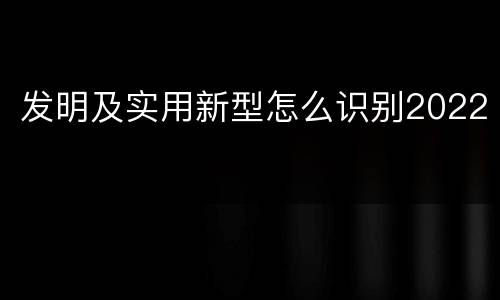 发明及实用新型怎么识别2022
