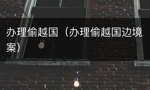 办理偷越国（办理偷越国边境案）