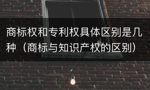 商标权和专利权具体区别是几种（商标与知识产权的区别）
