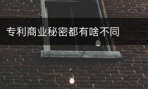专利商业秘密都有啥不同