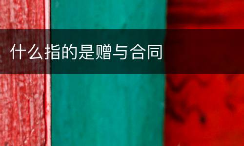 什么指的是赠与合同