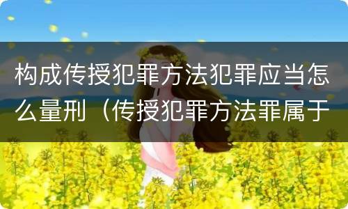 构成传授犯罪方法犯罪应当怎么量刑（传授犯罪方法罪属于什么罪）