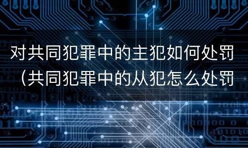 对共同犯罪中的主犯如何处罚（共同犯罪中的从犯怎么处罚）