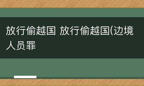 放行偷越国 放行偷越国(边境人员罪