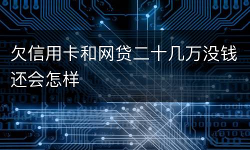欠信用卡和网贷二十几万没钱还会怎样