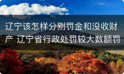 辽宁该怎样分别罚金和没收财产 辽宁省行政处罚较大数额罚款标准