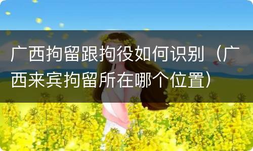 广西拘留跟拘役如何识别（广西来宾拘留所在哪个位置）