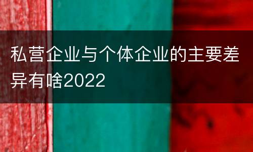 私营企业与个体企业的主要差异有啥2022