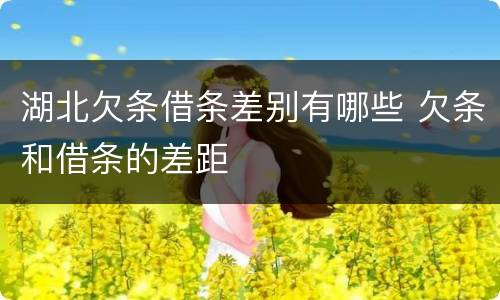 湖北欠条借条差别有哪些 欠条和借条的差距