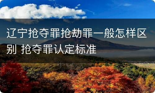 辽宁抢夺罪抢劫罪一般怎样区别 抢夺罪认定标准
