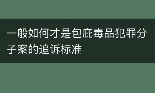 一般如何才是包庇毒品犯罪分子案的追诉标准
