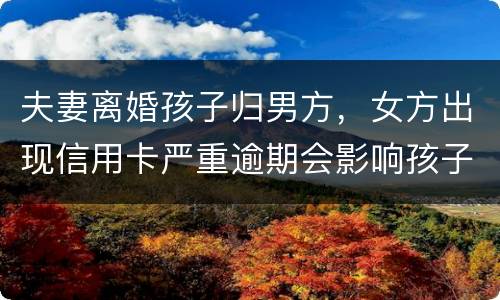 夫妻离婚孩子归男方，女方出现信用卡严重逾期会影响孩子吗？比如孩子读书之类的