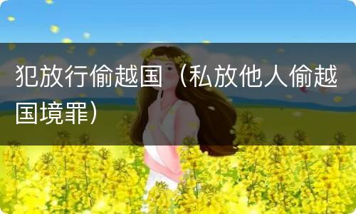 犯放行偷越国（私放他人偷越国境罪）
