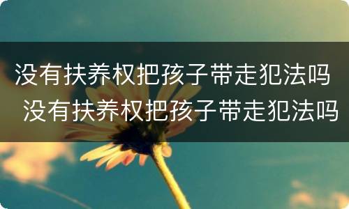 没有扶养权把孩子带走犯法吗 没有扶养权把孩子带走犯法吗判几年