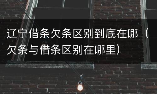 辽宁借条欠条区别到底在哪（欠条与借条区别在哪里）