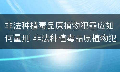 非法种植毒品原植物犯罪应如何量刑 非法种植毒品原植物犯罪应如何量刑