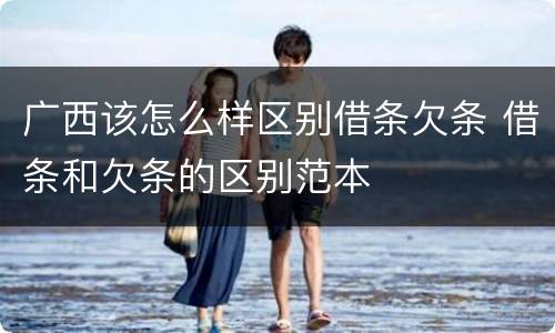 广西该怎么样区别借条欠条 借条和欠条的区别范本