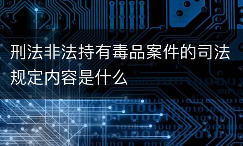 刑法非法持有毒品案件的司法规定内容是什么