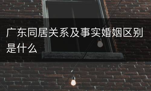 广东同居关系及事实婚姻区别是什么