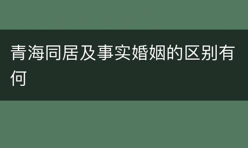 青海同居及事实婚姻的区别有何