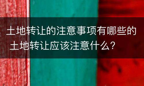土地转让的注意事项有哪些的 土地转让应该注意什么?