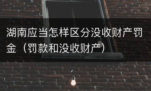湖南应当怎样区分没收财产罚金（罚款和没收财产）