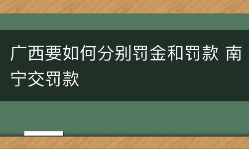 广西要如何分别罚金和罚款 南宁交罚款