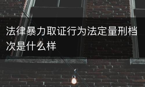 法律暴力取证行为法定量刑档次是什么样