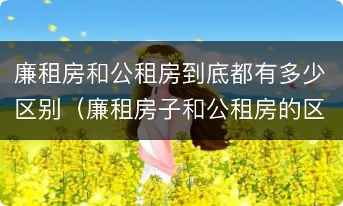 廉租房和公租房到底都有多少区别（廉租房子和公租房的区别）