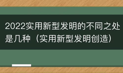 2022实用新型发明的不同之处是几种（实用新型发明创造）