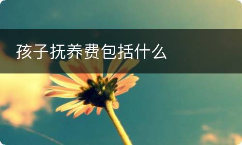  孩子抚养费包括什么