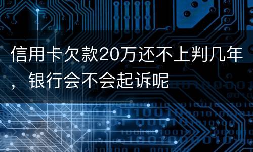 信用卡欠款20万还不上判几年，银行会不会起诉呢