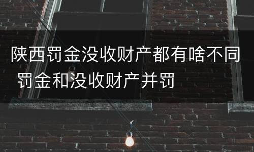 陕西罚金没收财产都有啥不同 罚金和没收财产并罚