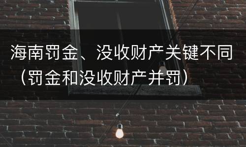 海南罚金、没收财产关键不同（罚金和没收财产并罚）