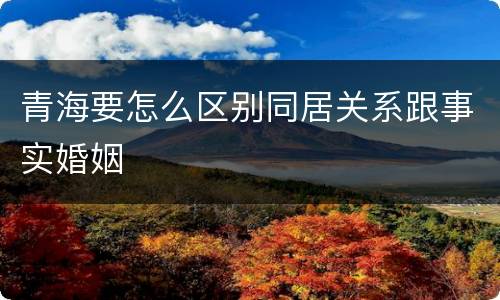 青海要怎么区别同居关系跟事实婚姻
