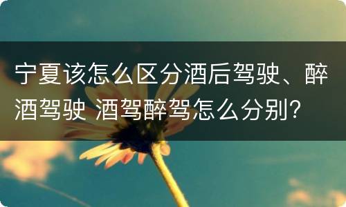 宁夏该怎么区分酒后驾驶、醉酒驾驶 酒驾醉驾怎么分别?