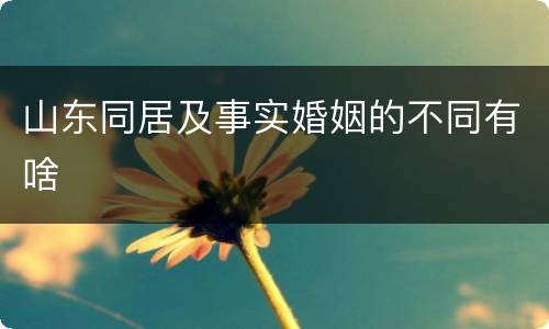 山东同居及事实婚姻的不同有啥