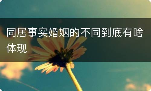 同居事实婚姻的不同到底有啥体现