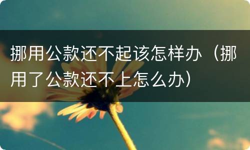 挪用公款还不起该怎样办（挪用了公款还不上怎么办）