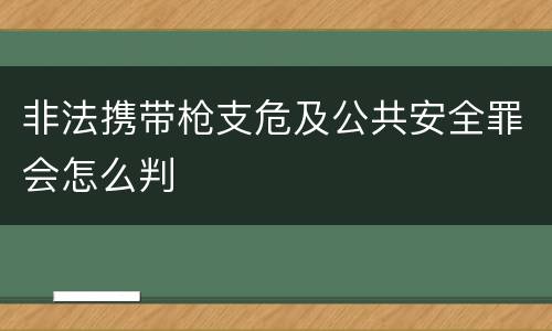 非法携带枪支危及公共安全罪会怎么判