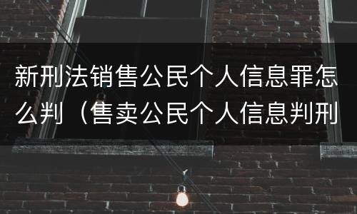 新刑法销售公民个人信息罪怎么判（售卖公民个人信息判刑案例）
