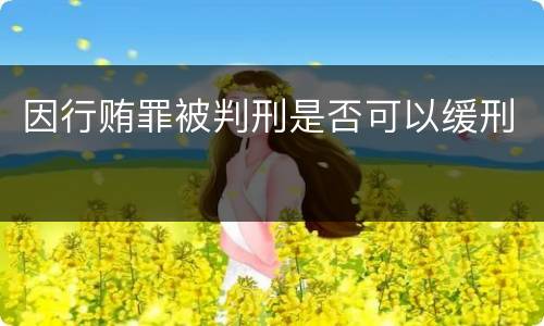 因行贿罪被判刑是否可以缓刑