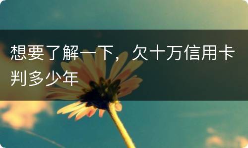 想要了解一下，欠十万信用卡判多少年