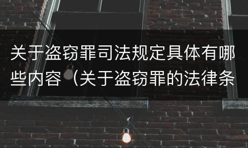 关于盗窃罪司法规定具体有哪些内容（关于盗窃罪的法律条文）