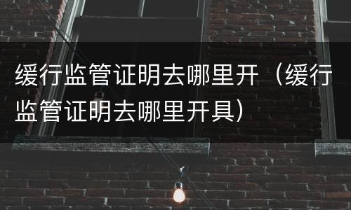 缓行监管证明去哪里开（缓行监管证明去哪里开具）